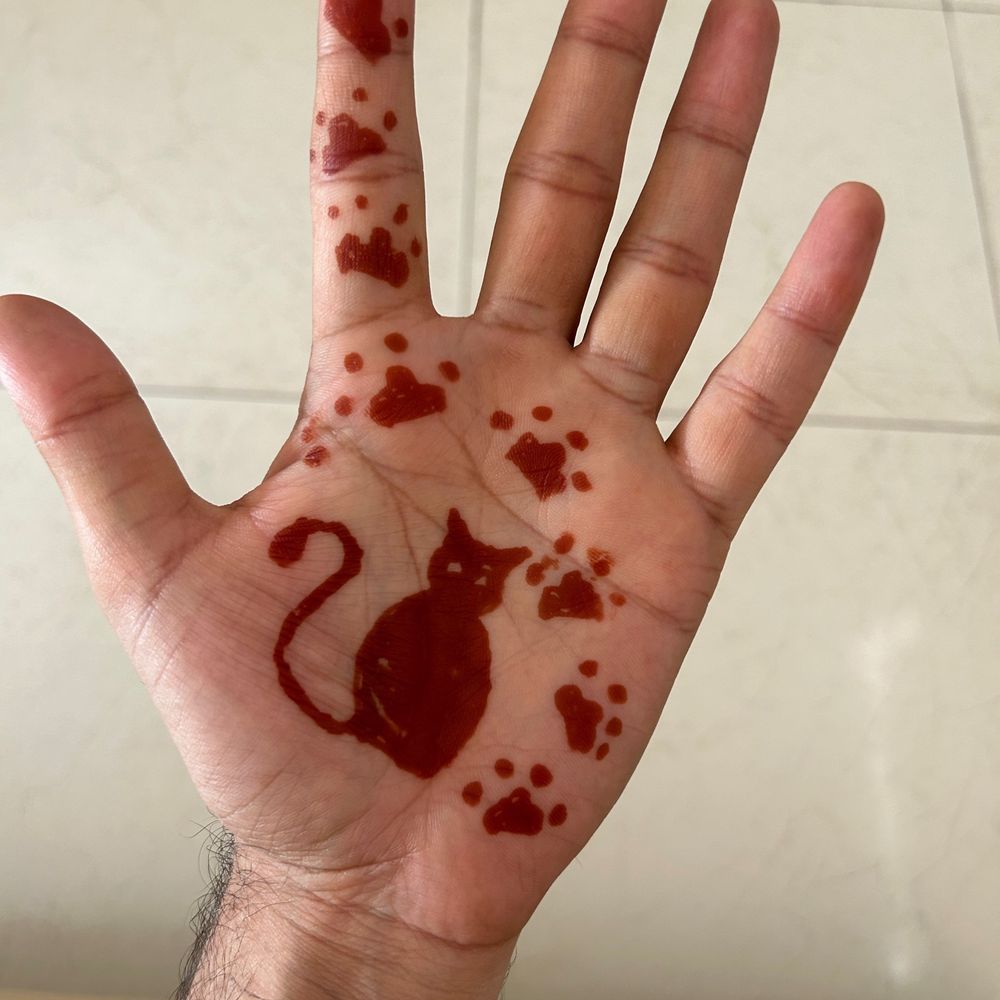 yuvraj