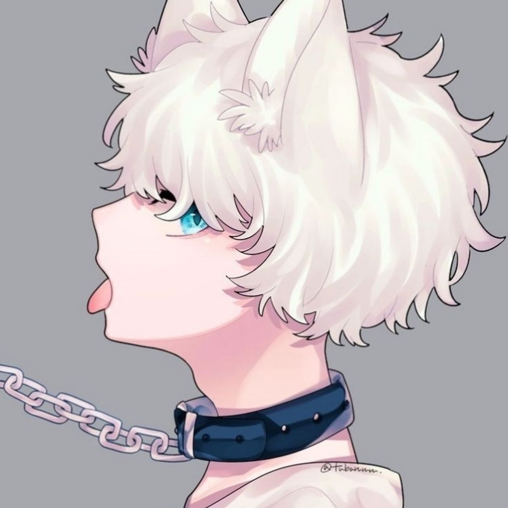 Cachorra de todos os femboys