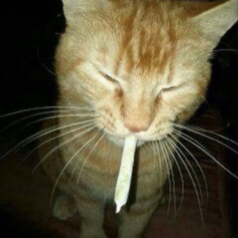 mik