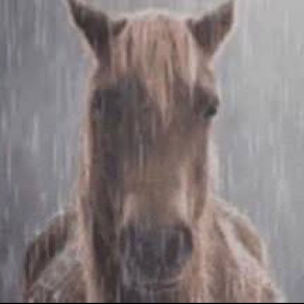 drcoomer06.bsky.social