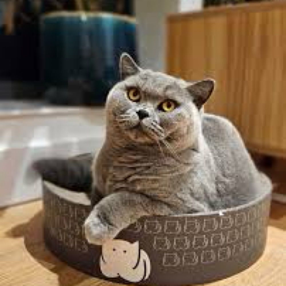 Cute smiler