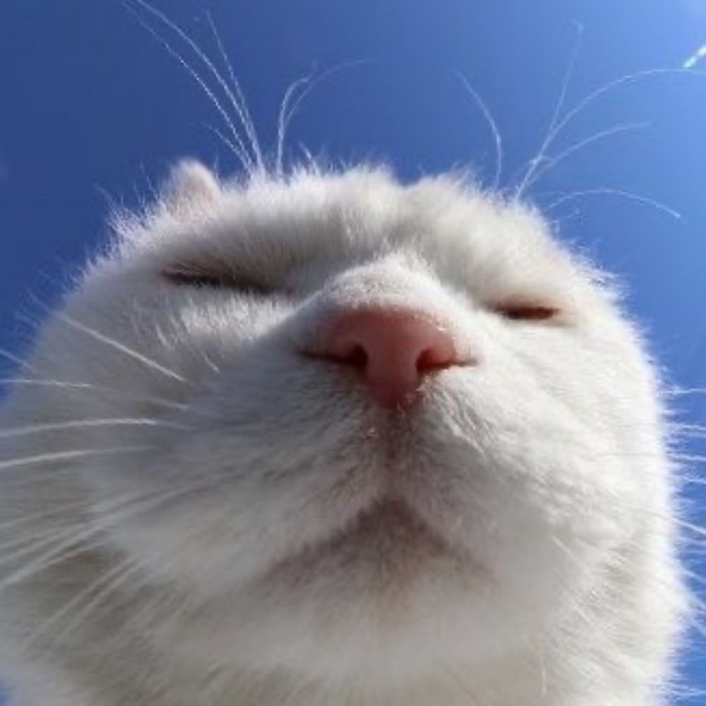 에사