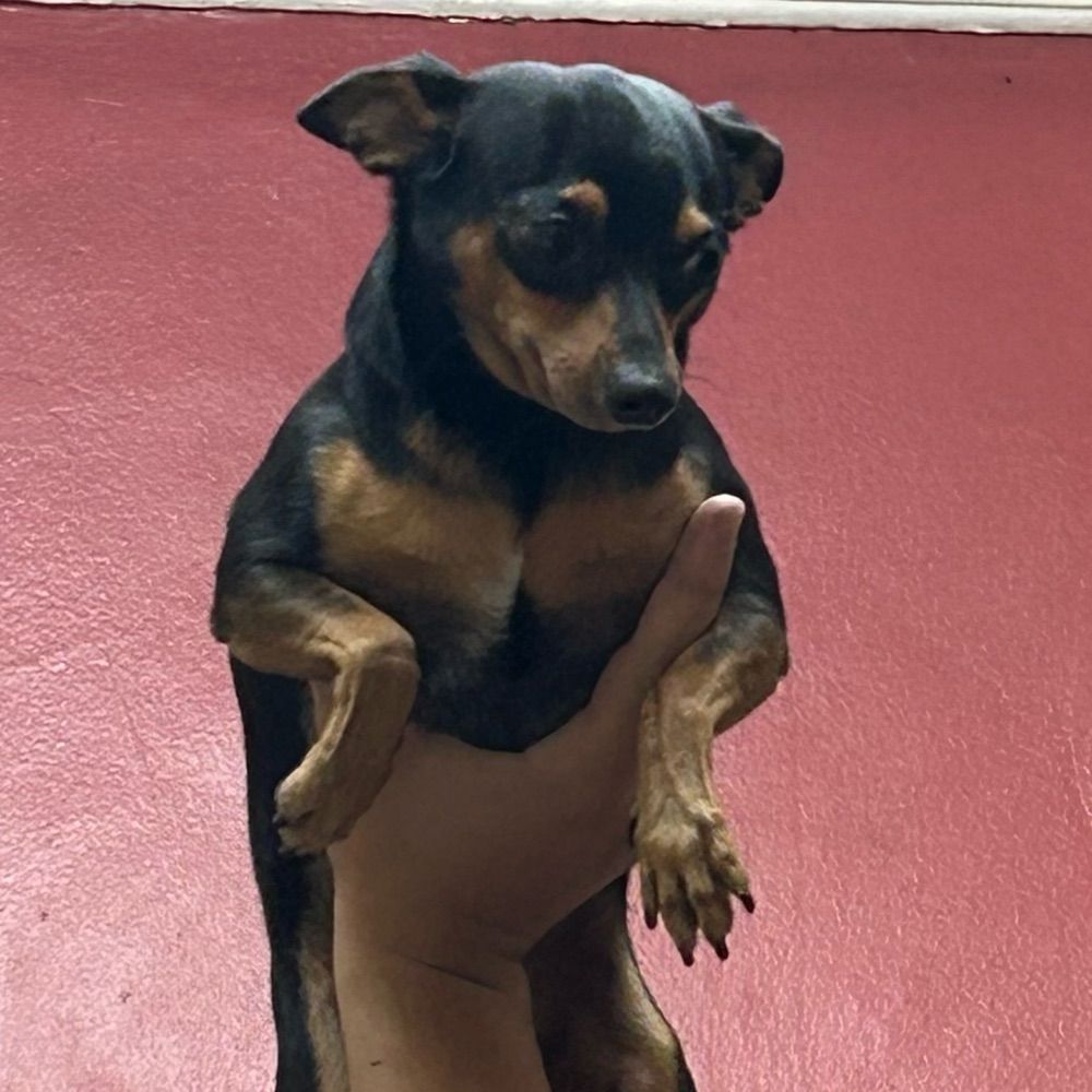 Lalalala