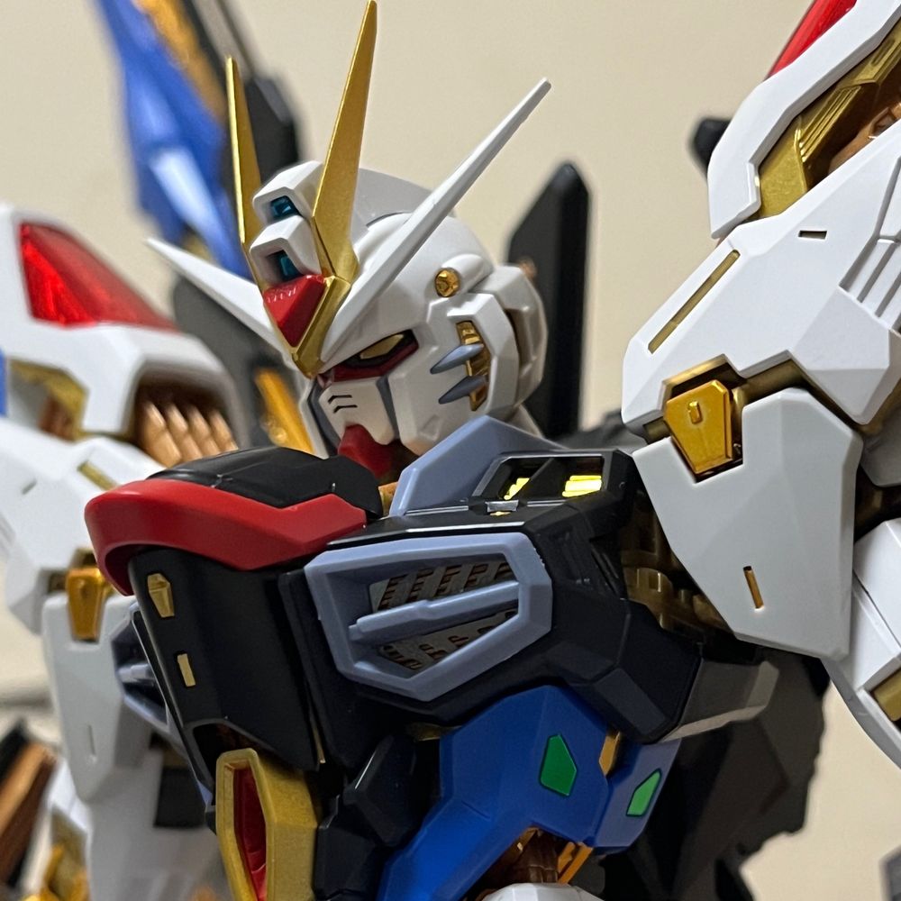 フリーダム