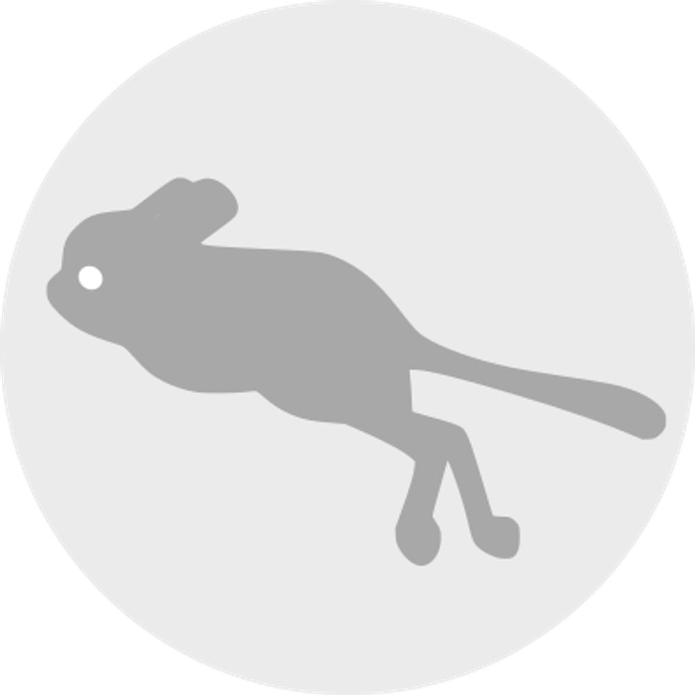Jerboa