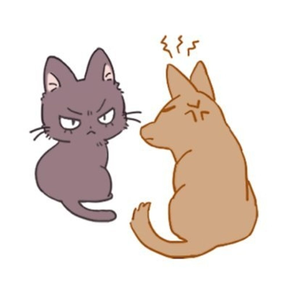 Twins