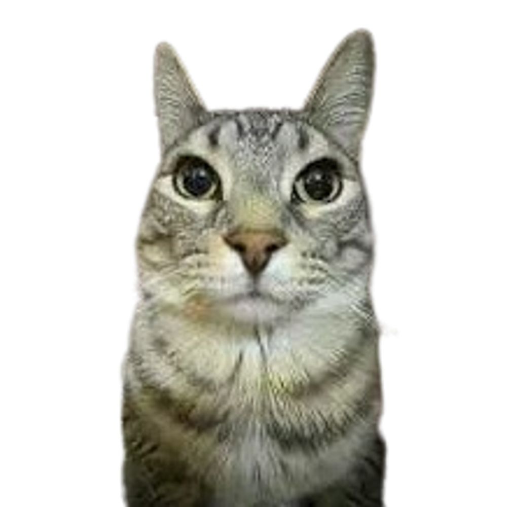 Jucavii