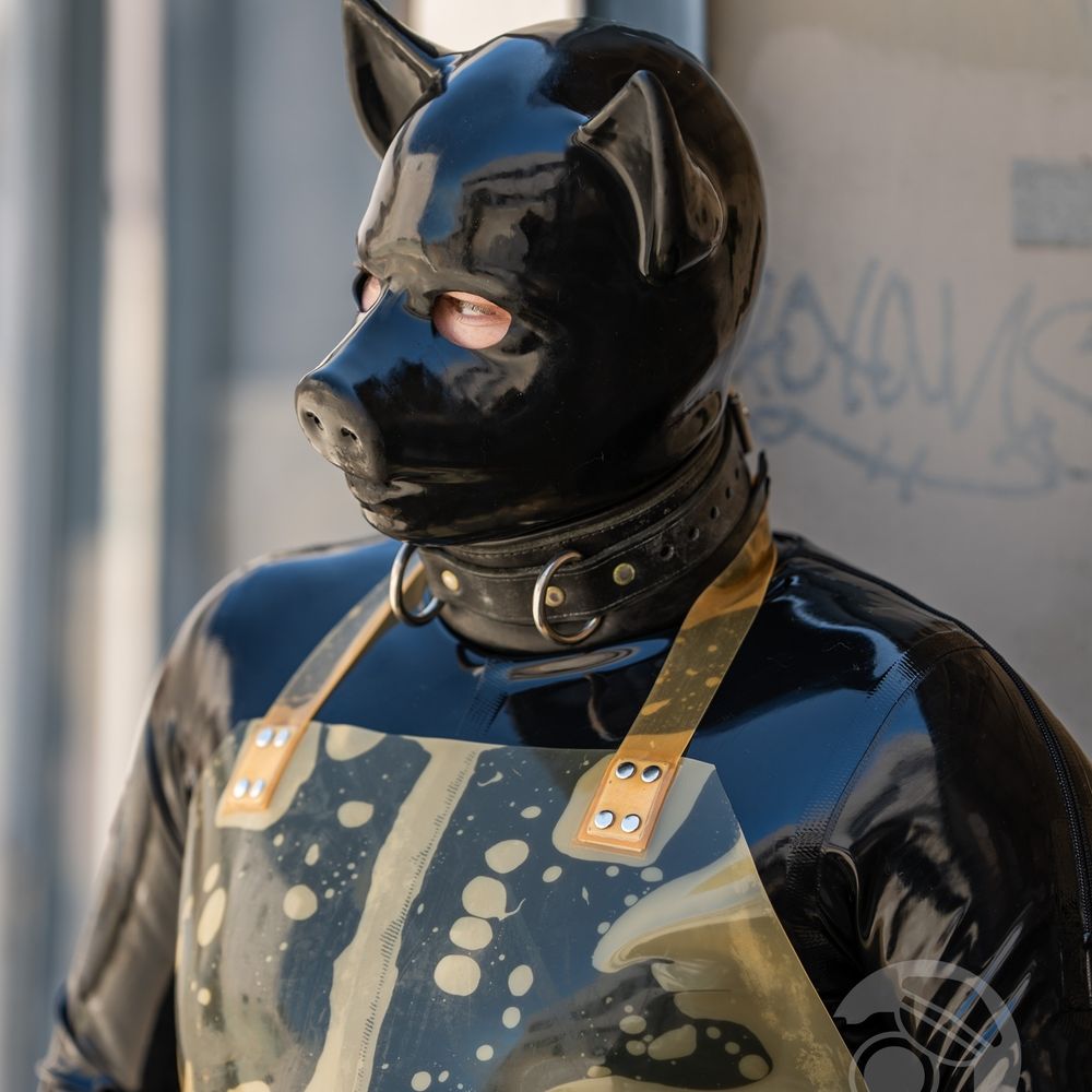 Pup Tornado