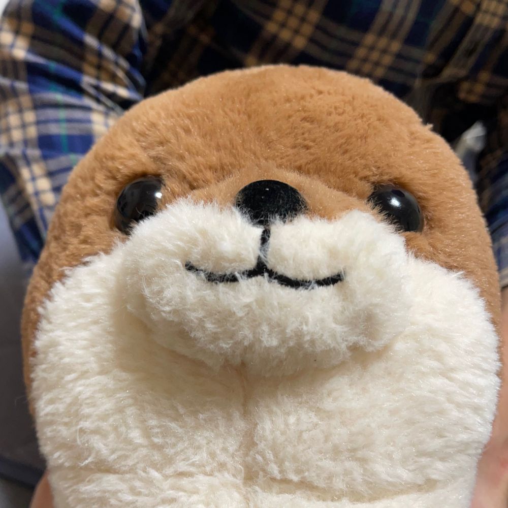 りぃ(•ω•*)