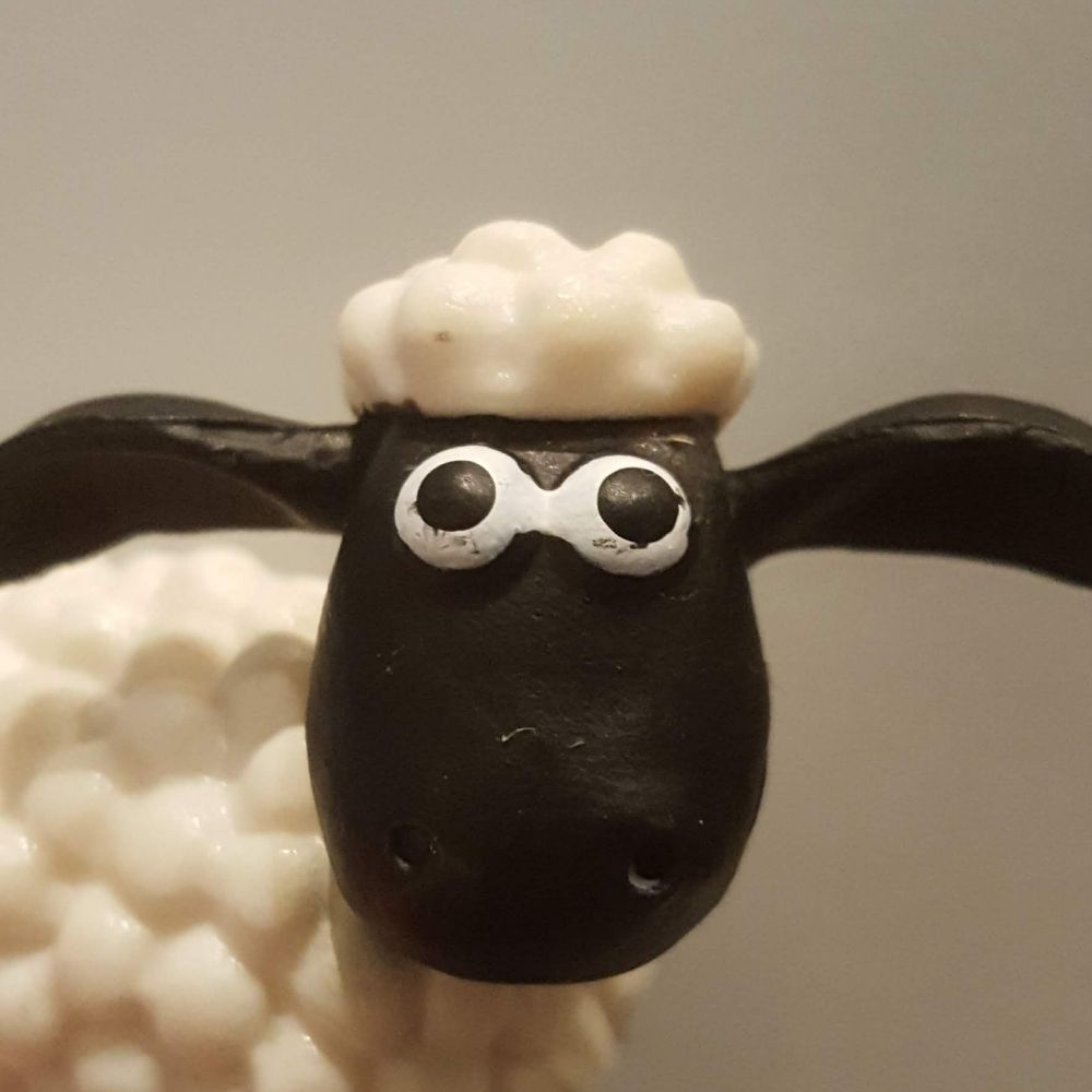 Shaun Gendall
