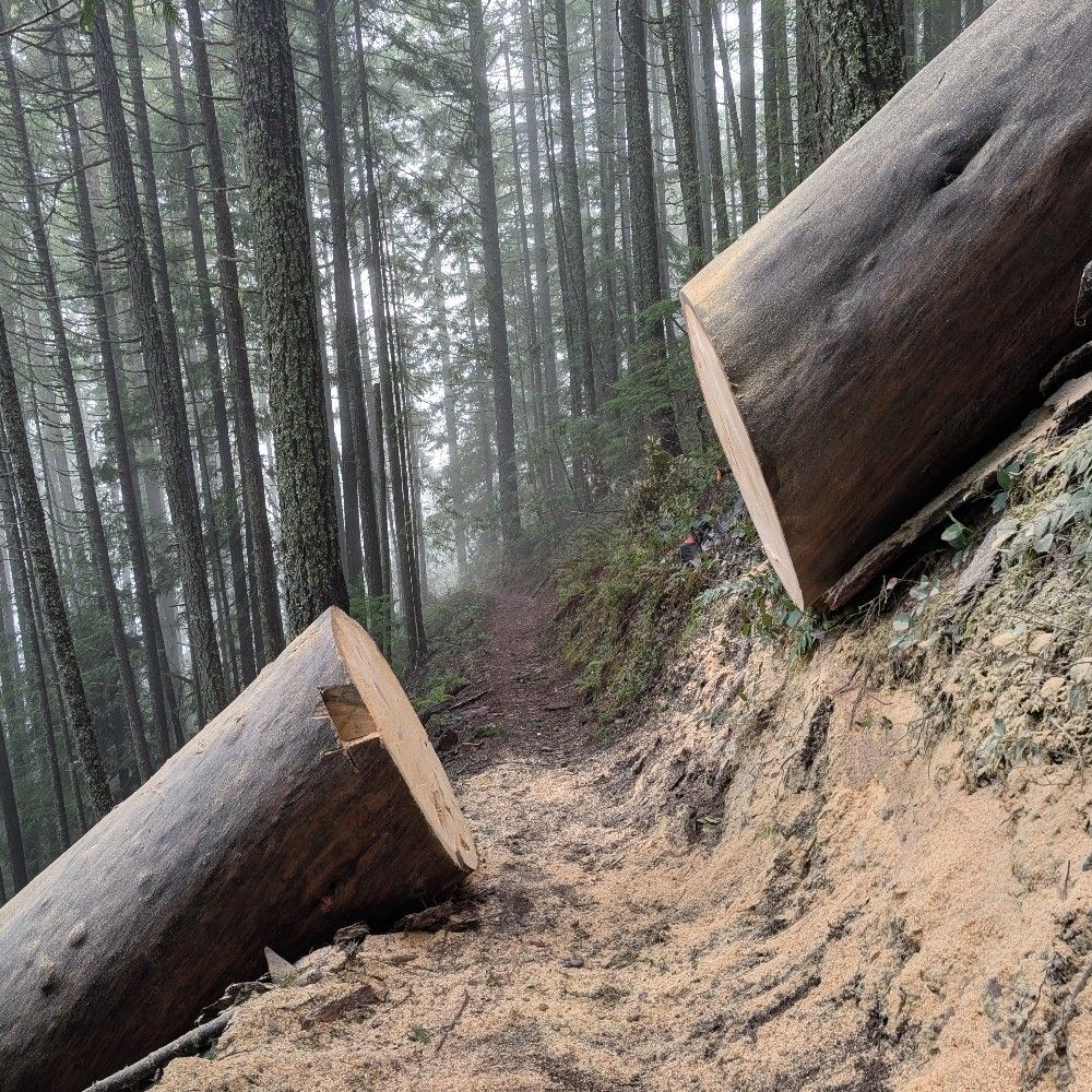 Oakridge Trails