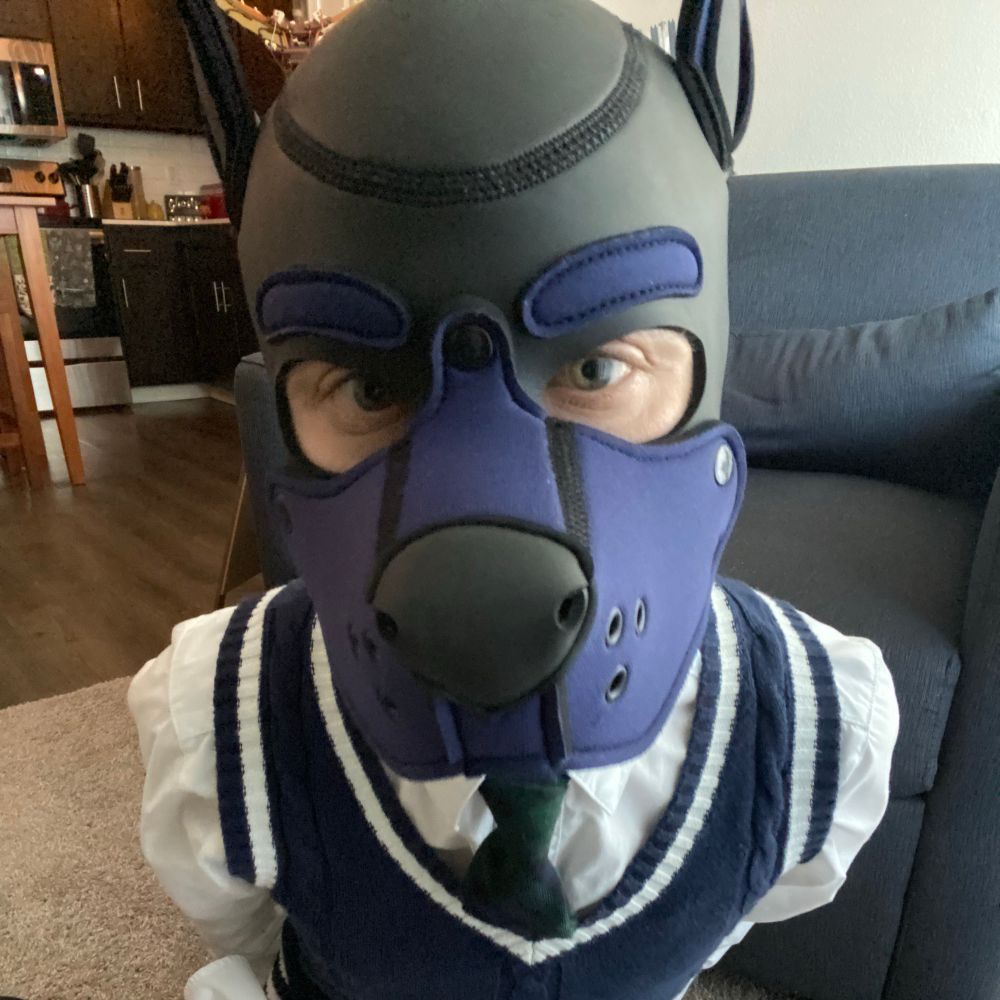 Pup Dapperling