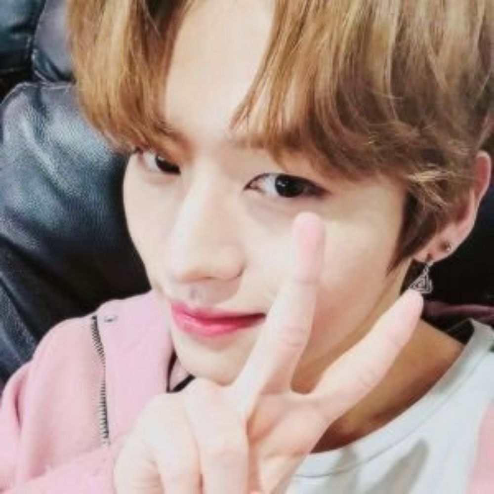anne !? 리노