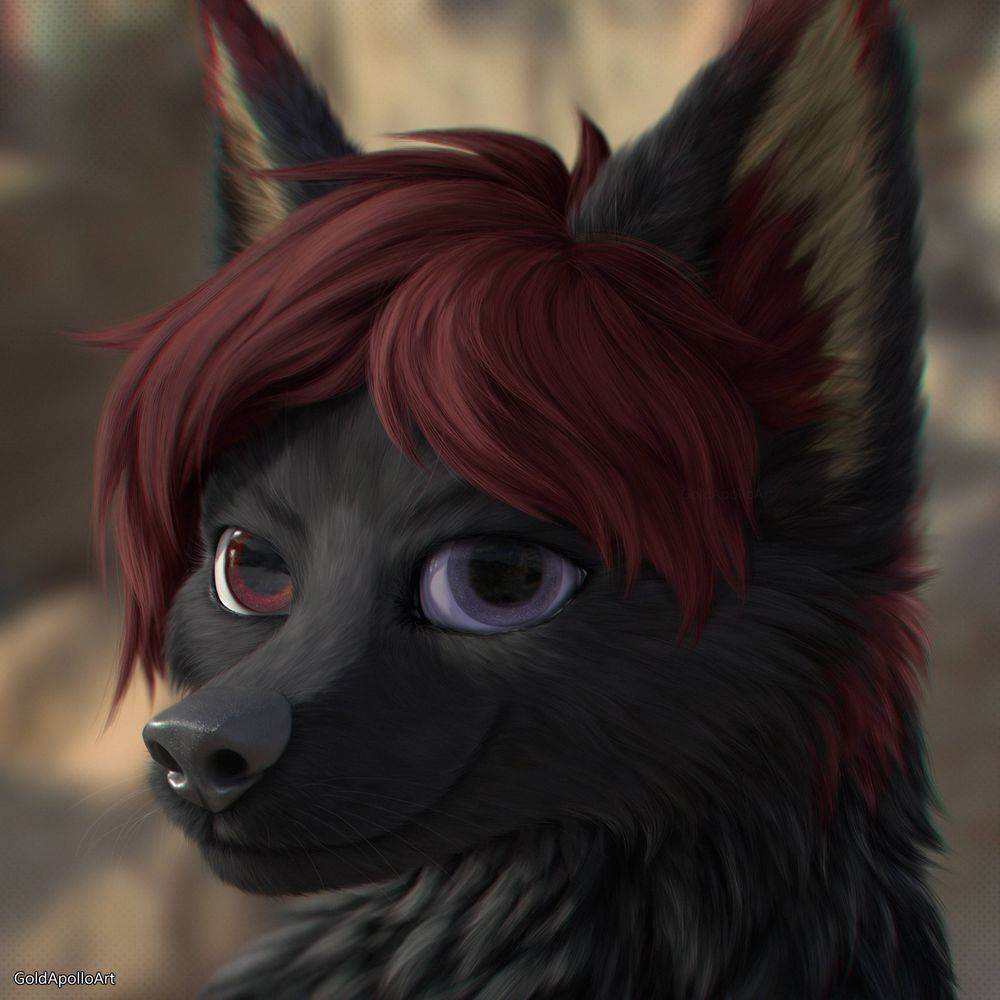 Magnus 🔜 FWA