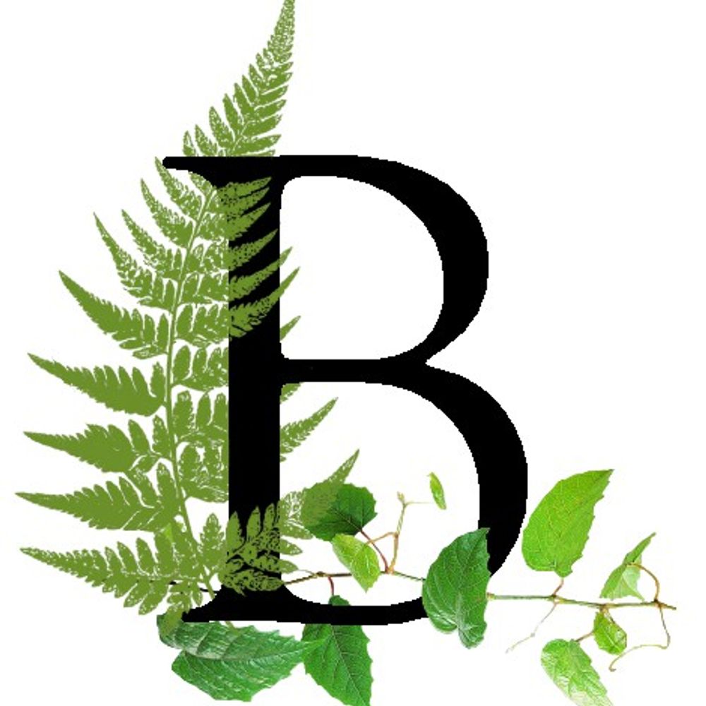 Broadwindsor