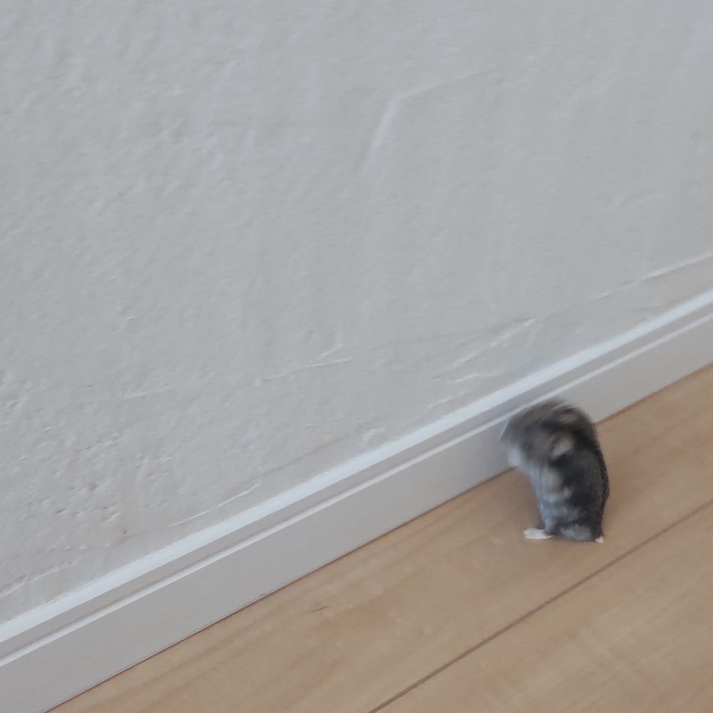 ひさの