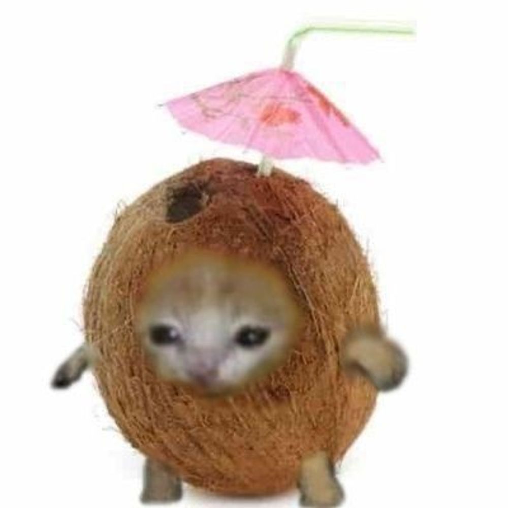 Coco