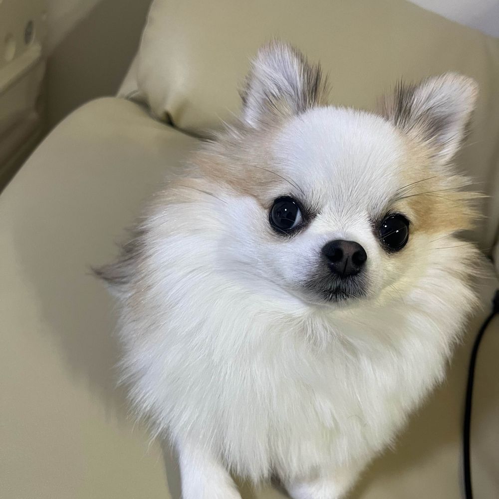 まつぴ