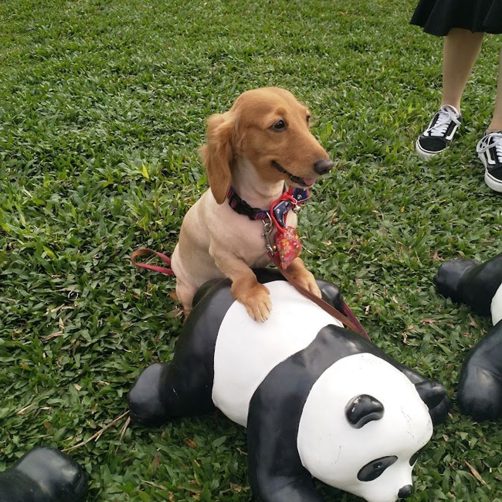 鐘嘉偉