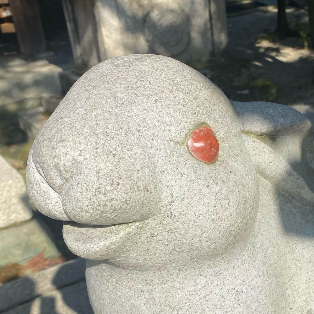 ゆーぼう