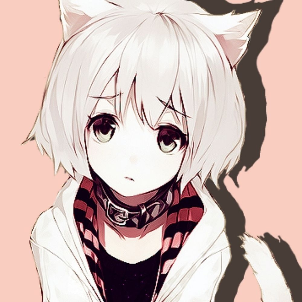 🤍🪽猫にゃboii🤍🪽