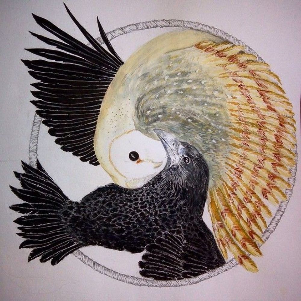 sephtis