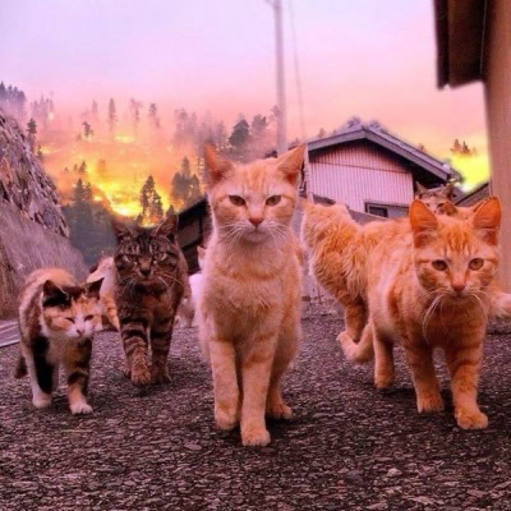 Tupungatito