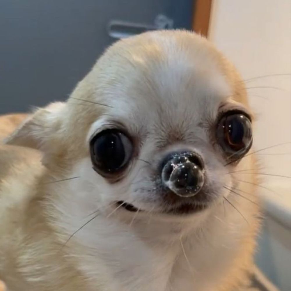 게뀰빡
