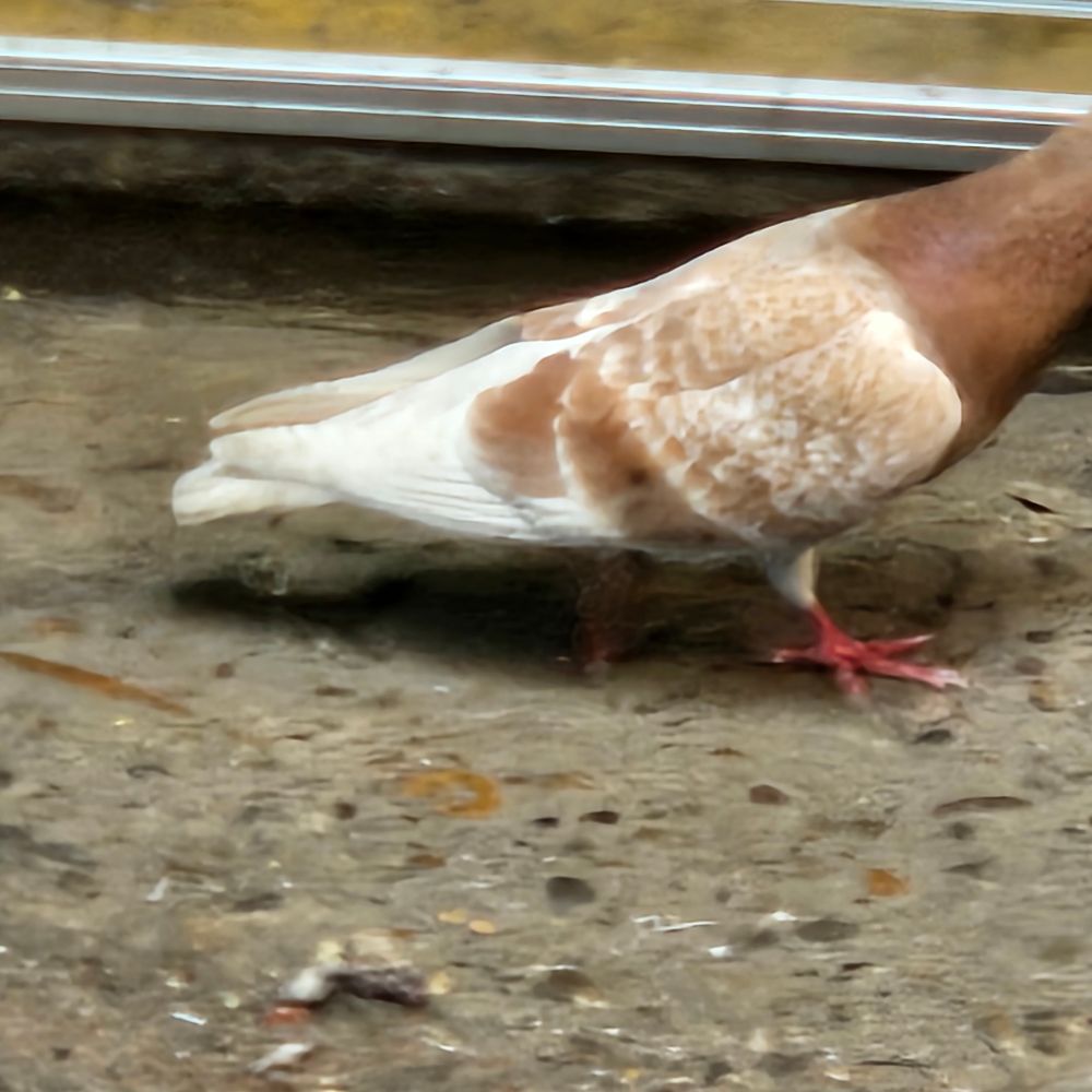 세상을지배할정한