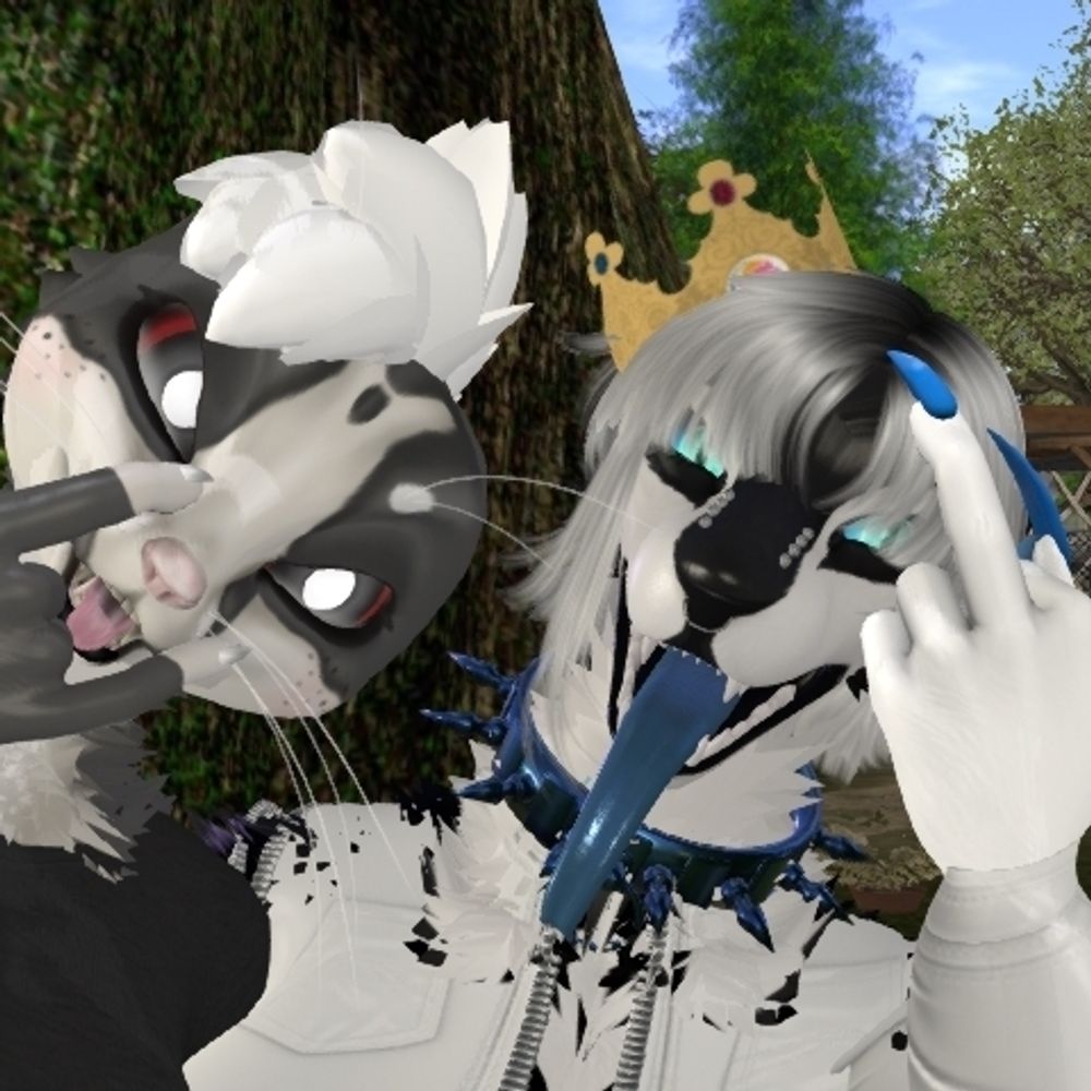 ferretforker.bsky.social profile picture