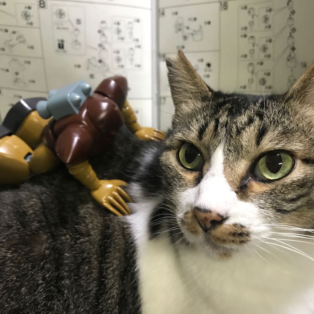 つねきち