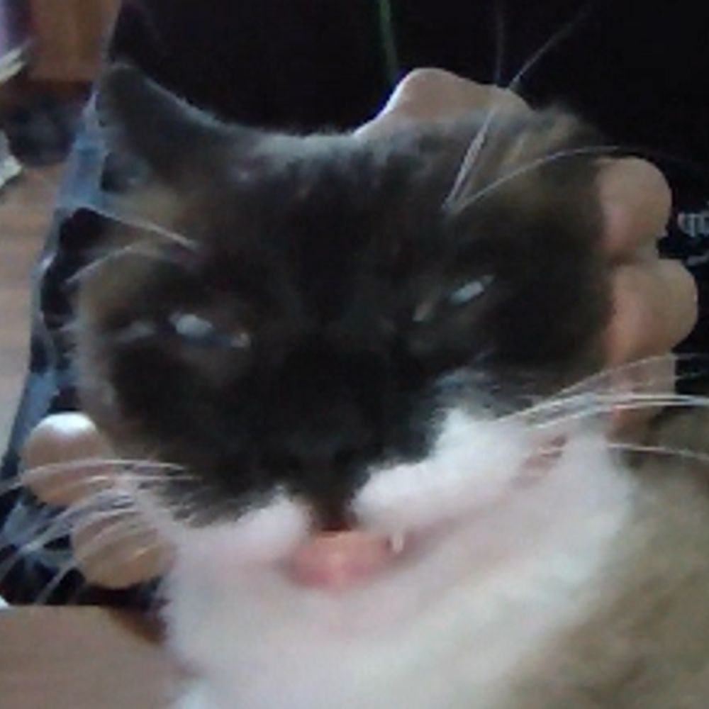 Gary 