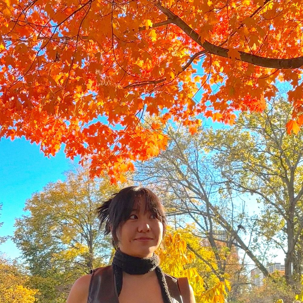 Anna M. Fang