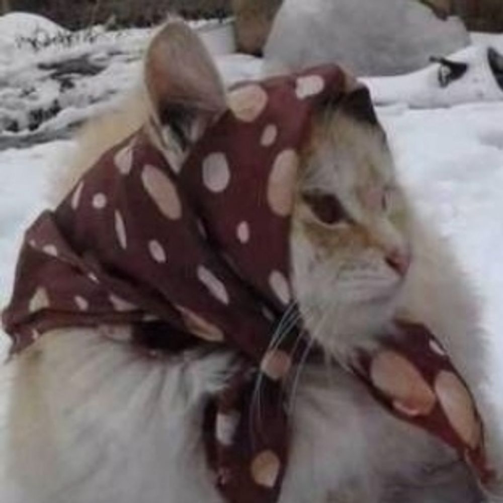 м'юзі🇺🇦