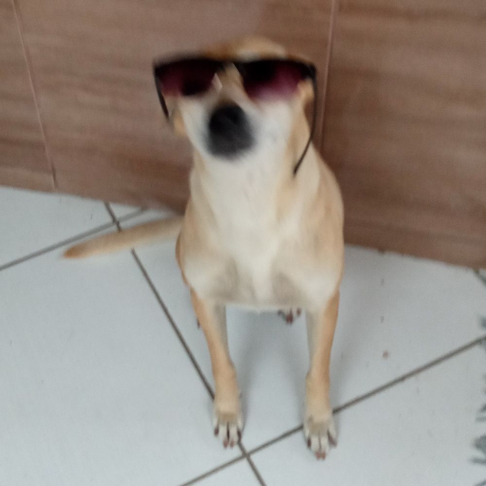 Felipe