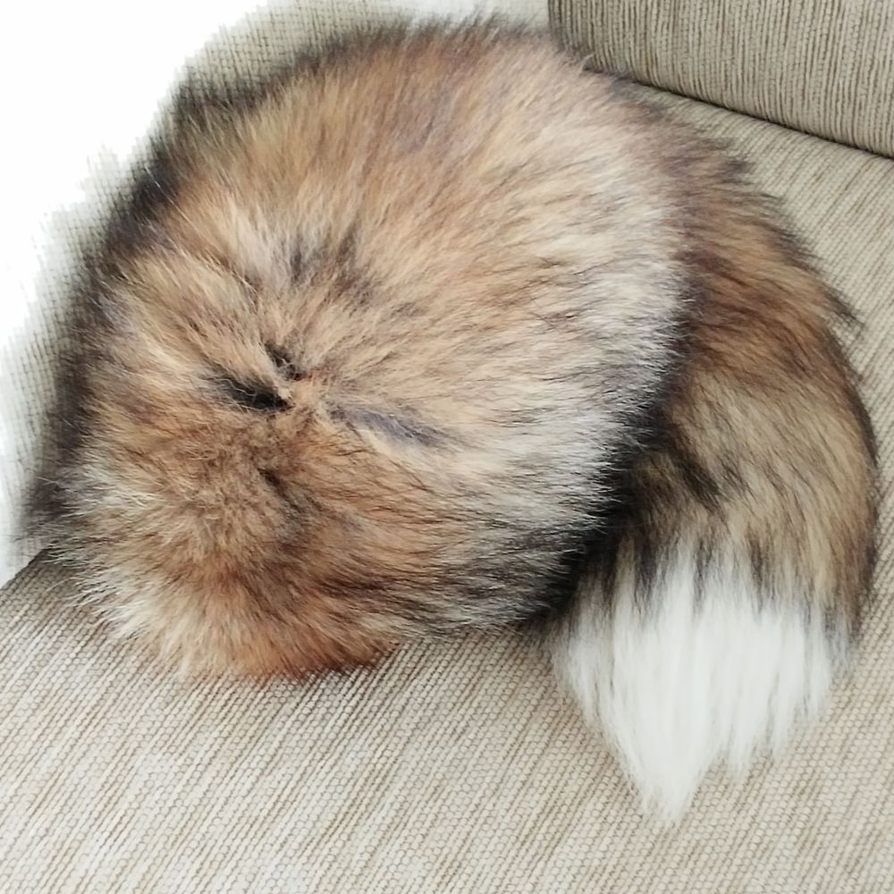 RISAAI