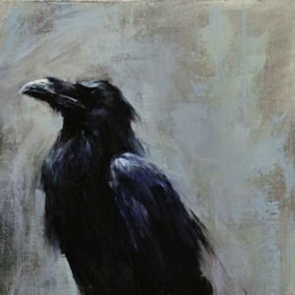 Corvus Quaesitor