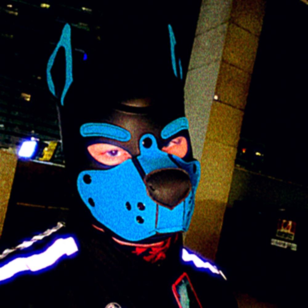Pup Kota