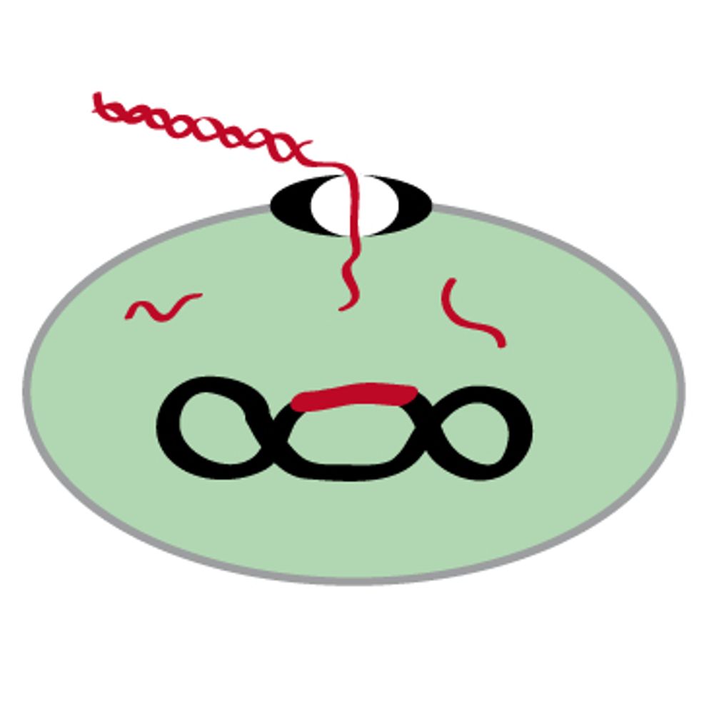 Polard lab - Toulouse