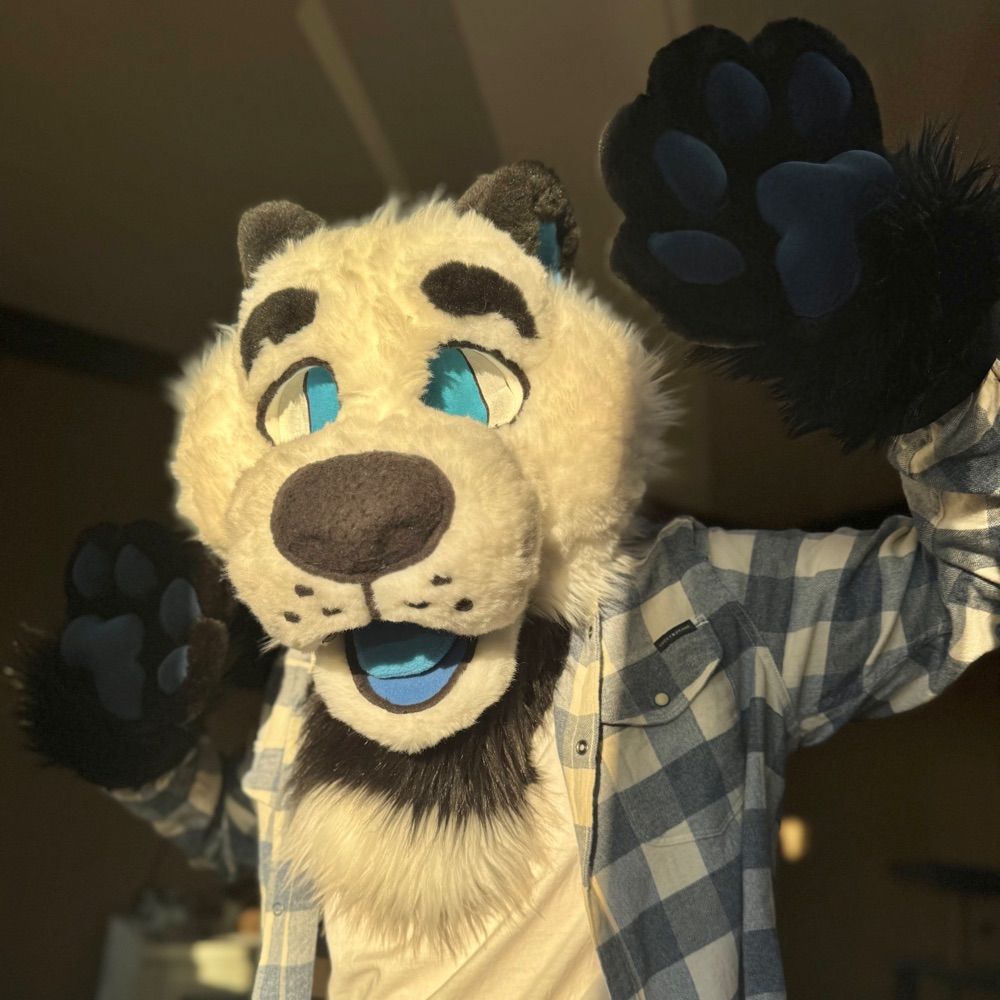 Lo-Tekk the Panda 🐼🐾