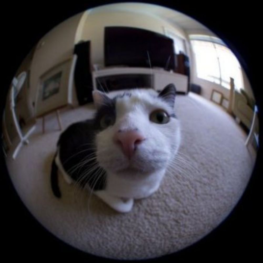 brunwovo.bsky.social