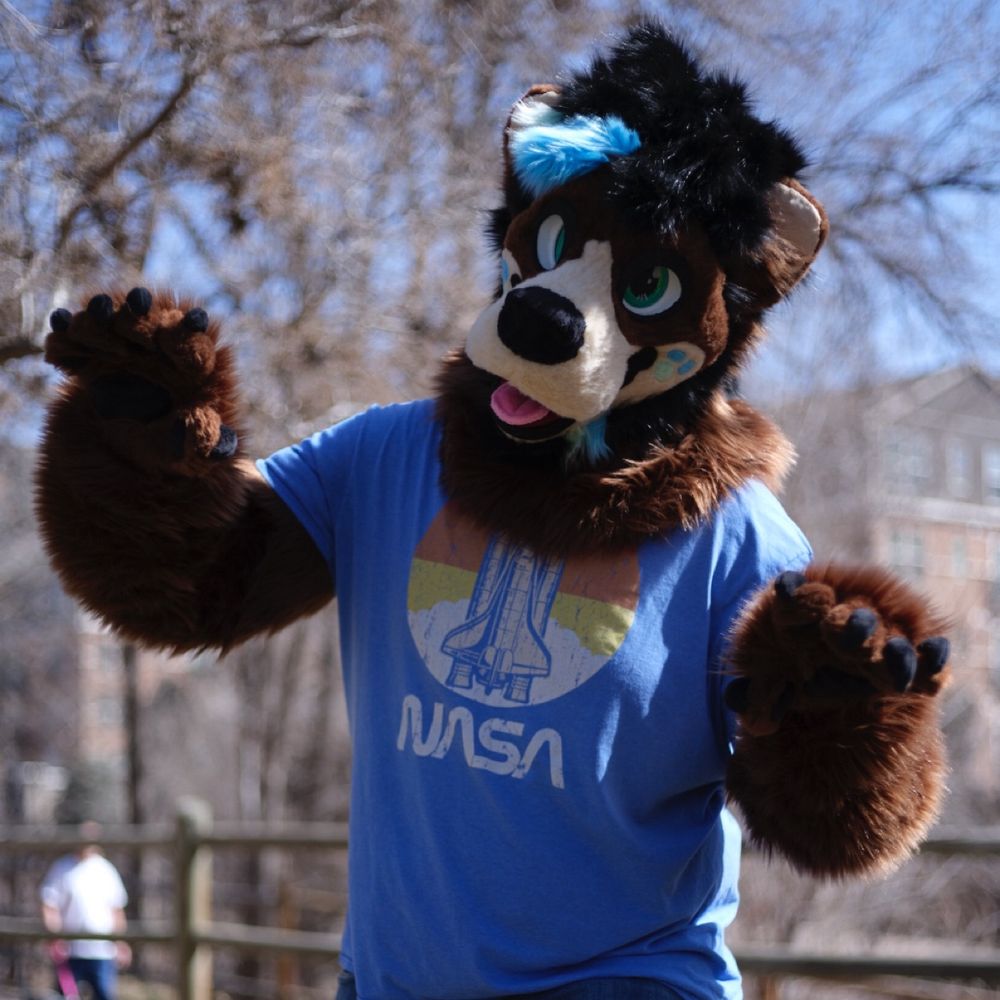 Orion the Bear