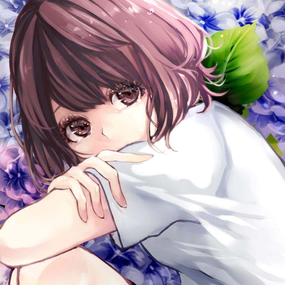 はちこ