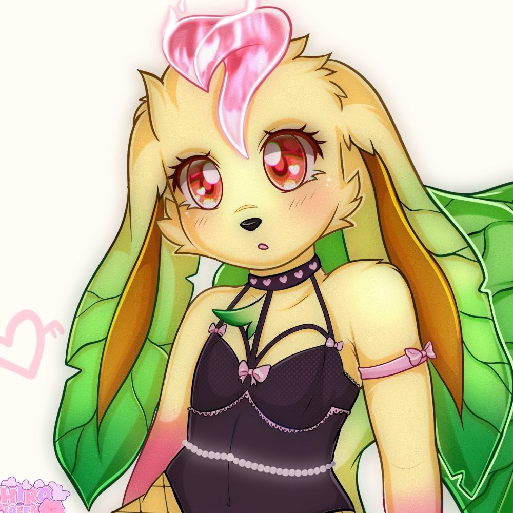 Zeroko_Zayne