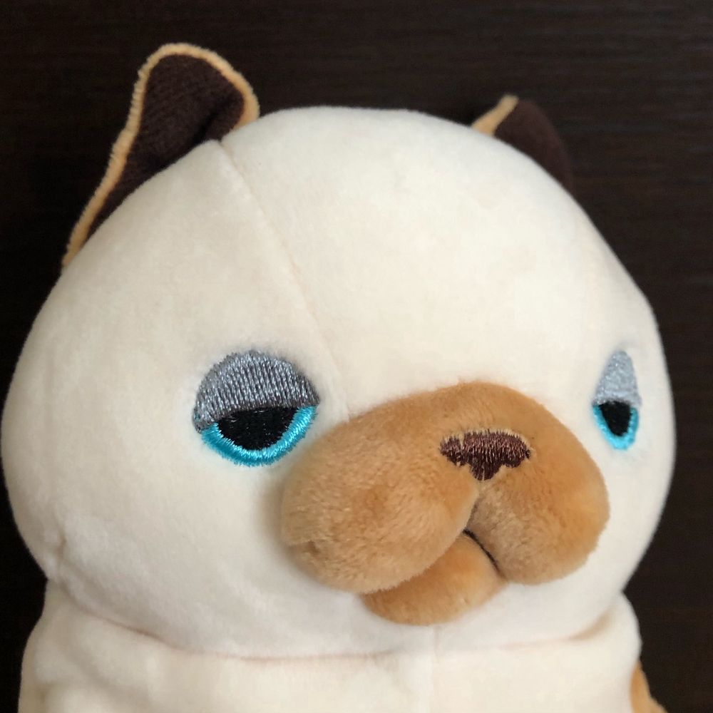 うさぷん