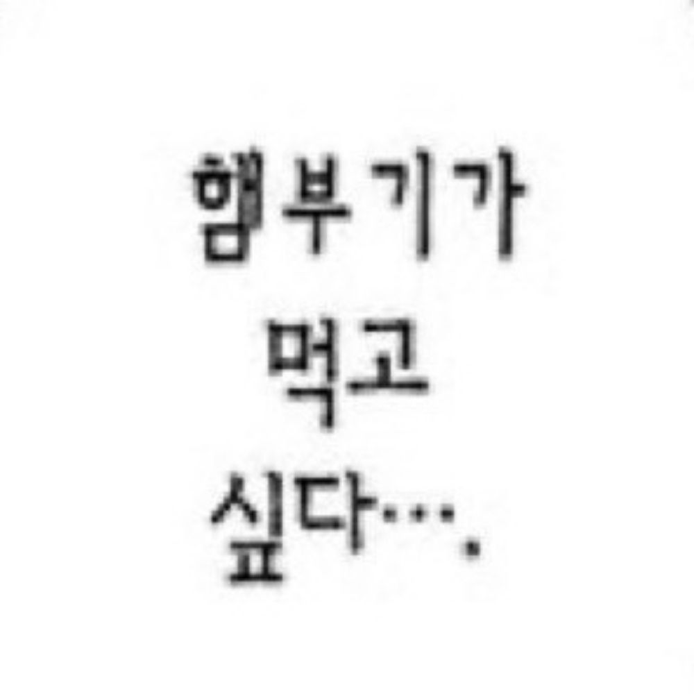 아박사
