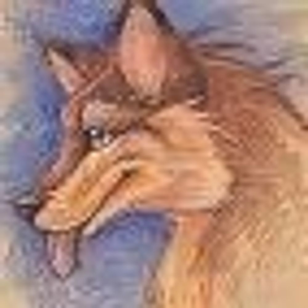 Coyote ^.^ ΘΔ's avatar