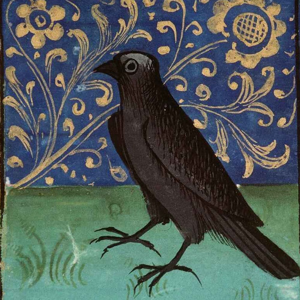Cicadaemon