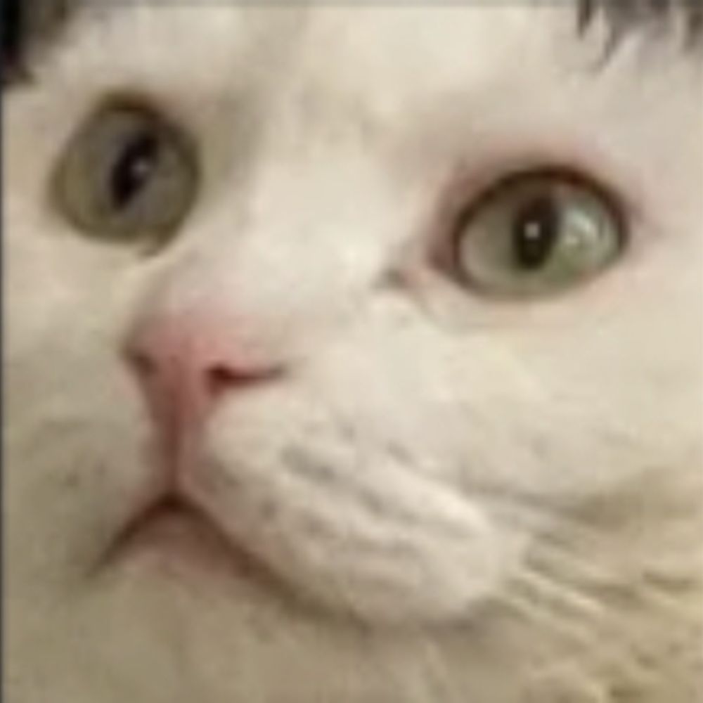 Melffy Meru