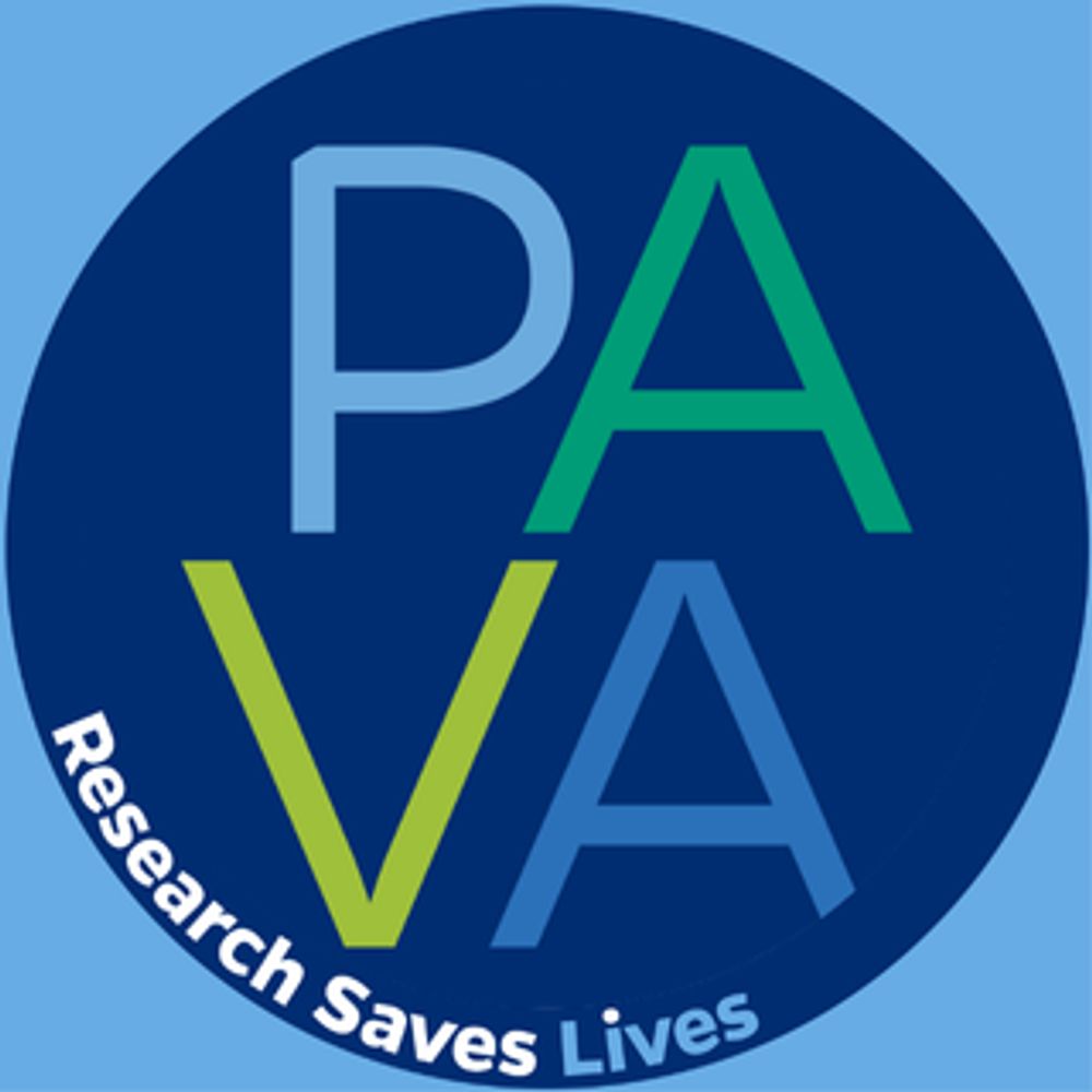 Pava Center for Entrepreneurship 